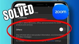 How to turn off other notifications on Zoom