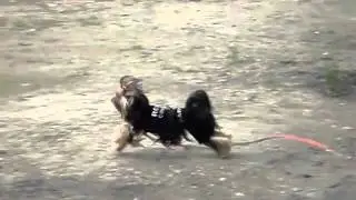 MOV04096