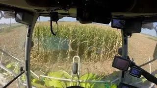 Cab View Claas 980 | SILAGE 2020