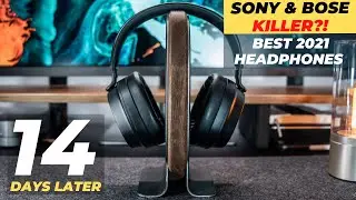 TOP 3 Reasons to BUY/NOT BUY Massdrop x THX Panda Headphones