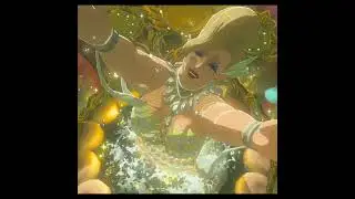 Link meets Cotera #funnyvideos