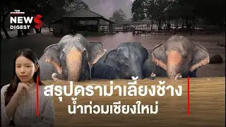 สรุปดราม่าเลี้ยงช้างอิสระ อุปสรรคช่วยน้ำท่วม | NEWS DIGEST #38