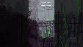 I tamed a red lizard #rainworld