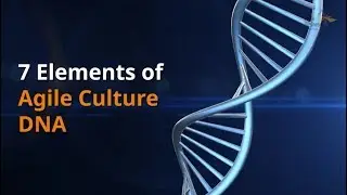 The 7 Elements of Agile Culture DNA