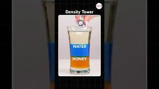 Density Tower: Not Magic, Just Science 🧪✨ #science #density #jee #experiment #physics
