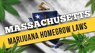 Massachusetts Marijuana Laws for Home Cultivation and Medical Use in 2021