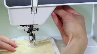 Pfaff Select 4.2  39 Free Motion Quilting