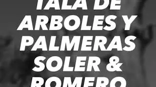 Poda y tala de arboles en Zaragoza Soler y Romero Jardineria