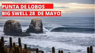 Swell XXL en Punta de Lobos el 28 de mayo