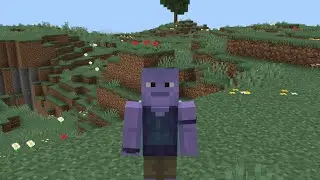 I am MINECRAFT BEDROCK EDITION