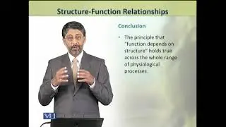 Structure-Function Relationships | Animal Physiology and Behavior (Theory) | ZOO502T_Topic003