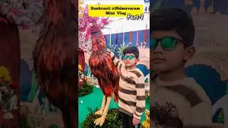 Sankranti Vibes🌾🐓 #festival #sankranthi #festivevibes #revathiartist #art #bhimavaram #minivlog