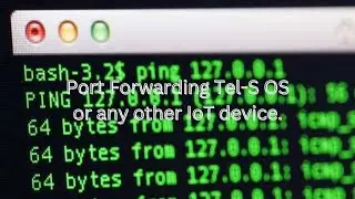 How to Port Forward Tel-S IP or any of your IoT Project?