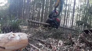 Forest Machine Operation (harvester)