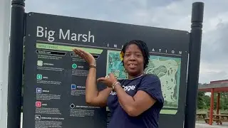 Our family bike day at Big Marsh Bike Park