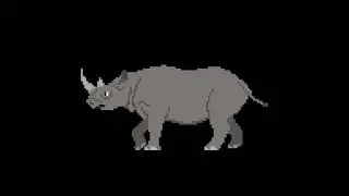 Black Rhinoceros