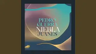 Niebla