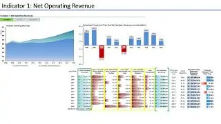 Indicator 1: Net Operating Revenue