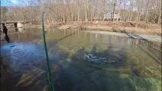 Steelhead Fishing at Walnut Creek, PA