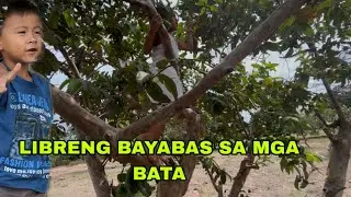 LIBRENG BAYABAS PARA SA MGA BATA
