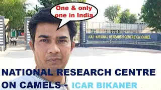 NATIONAL RESEARCH CENTRE ON CAMEL- ICAR - BIKANER 02