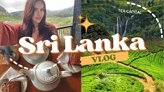 Sri Lanka Vlog: The magical land of Nuwara Eliya (Waterfalls, Golden Ridge Hotel, & Damro tea)