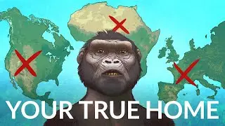 Where Are Humans Really From?