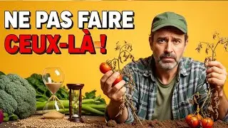 8 grainothèques en France: j’ai eu des graines gratuites... puis j’ai découvert le piège qui ruin...