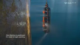 Sentinus - Scanning Process