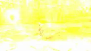 [Dragon Nest] Priest Skill Holy Burst