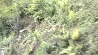 Riding a bus from  Sixty five to Hunli in Arunachal Pradesh
