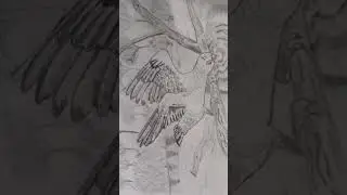 beautiful bird sketch