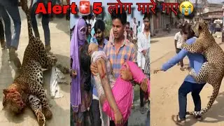 Alert 🚨 8 आदमी मर गया😭 Leopard Attack Village | # #Leopard | #animalattack #viralvideo #india