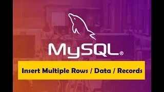 The Complete MySQL Bootcamp 13 Insert Multiple Data in MySQL