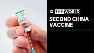 WHO approves China's Sinovac COVID-19 vaccine for emergency use | The World