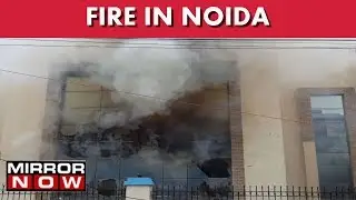 Fire At Noida's  Idea Company's Warehouse, Six Fire Tenders At The Spot I The News