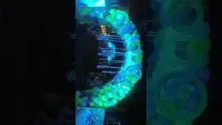SuperSonic Themes Decoration for Birthday Party | All Events Management in Nagpur | March 15, 2022