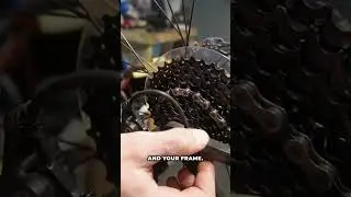 Most cyclists overlook this critical check. After any crash or impact, your derailleur hanger might
