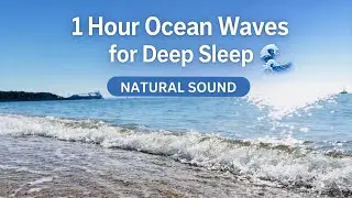 1 Hour Ocean Waves for Deep Sleep 🌊 Natural Sound