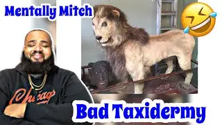 Mentally Mitch - Bad Taxidermy | REACTION | TRY NOT TO LAUGH