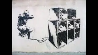 Seiyix - Tropitek