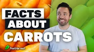 Facts about Carrots