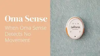 Oma Sense  Alarms