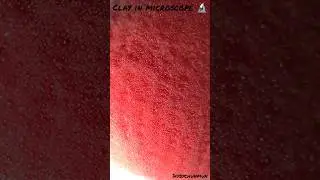 clay in microscope #ytshorts #viral #clay #microscope #tiny #craft #micro #small #clayflowers #art