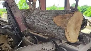 Sawing another big black oak log sawer trying to saw a lil to fast # 58