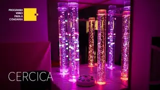 Programa VINCI para a Cidadania | CERCICA
