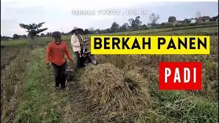 KATA SIAPA BERTERNAK ITU ENAK ??! | Ternak TwoTV