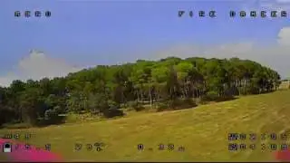 FPV || Segundo d&iacute;a de vuelo GT215 Fire Dancer