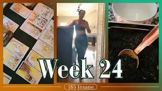 Week 24 Reset | Wellness Routines, Writing Wins & Getting Ready to Vend