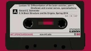10. Differentiation of the brain vesicles, part 1: Hindbrain and cranial nerves, specializations